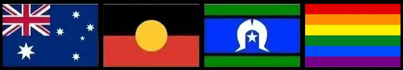 inclusion flags